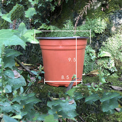 Plastic two-color nursery pots