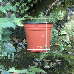 Plastic two-color nursery pots