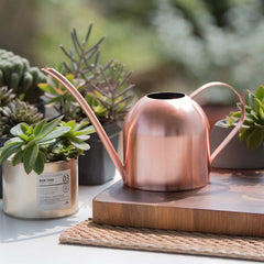 Stainless Steel Watering Can Watering Can Long Mouth Garden Watering Can