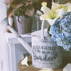 Wrought Iron Watering Can Vintage Old Garden Flower Vessel