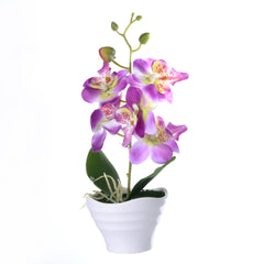 Simulation Flower Five-headed Phalaenopsis Bonsai With Pots