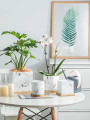 High-grade Root Control For Butterfly Orchid Pots