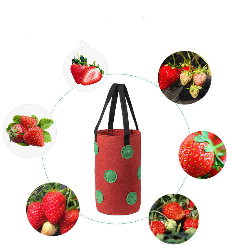 Strawberry Grow Bag Nonwoven Fabric Vertical Jardin Garden Hanging Plant Bag Vegetable Potato Planter Bag For Greenhouse