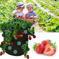 Strawberry Grow Bag Nonwoven Fabric Vertical Jardin Garden Hanging Plant Bag Vegetable Potato Planter Bag For Greenhouse