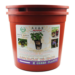 Potted Vegetables In Pots For Potato Planting