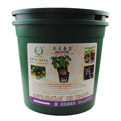Potted Vegetables In Pots For Potato Planting