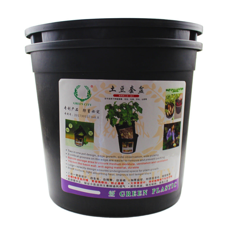 Potted Vegetables In Pots For Potato Planting