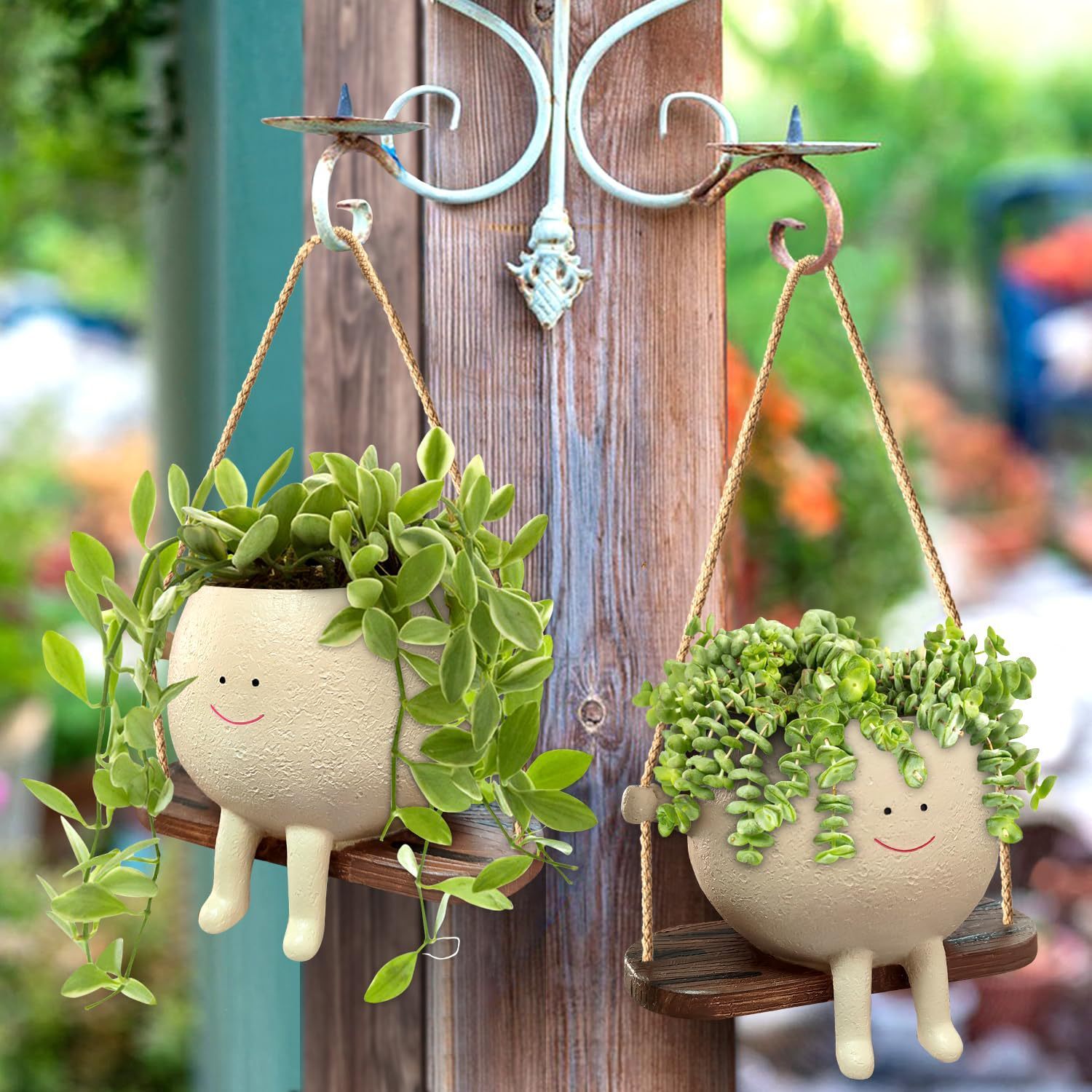 hanging planter succulents Plant Hanger Baskets Lovely Swing Face Planter Pot Succulent Flower Po – Garden Green Land