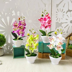 Simulation Flower Five-headed Phalaenopsis Bonsai With Pots