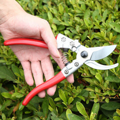 Gardening Scissors Pruning And Fruit Picking