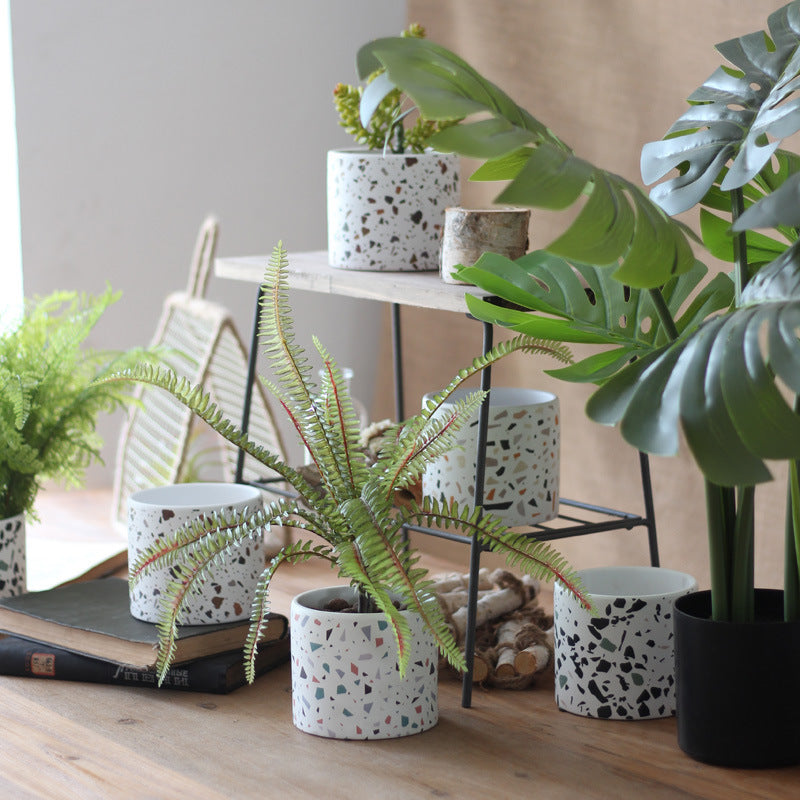 Balcony succulents round flower pots