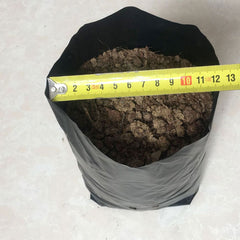 Flower nursery nutrition bag