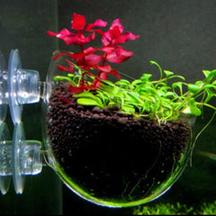 Aquatic Plant Nursery Pot Aquatic Plant Cultivation Cup