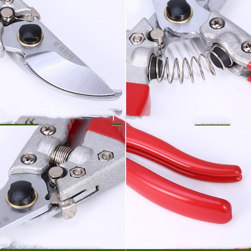 Gardening Scissors Pruning And Fruit Picking