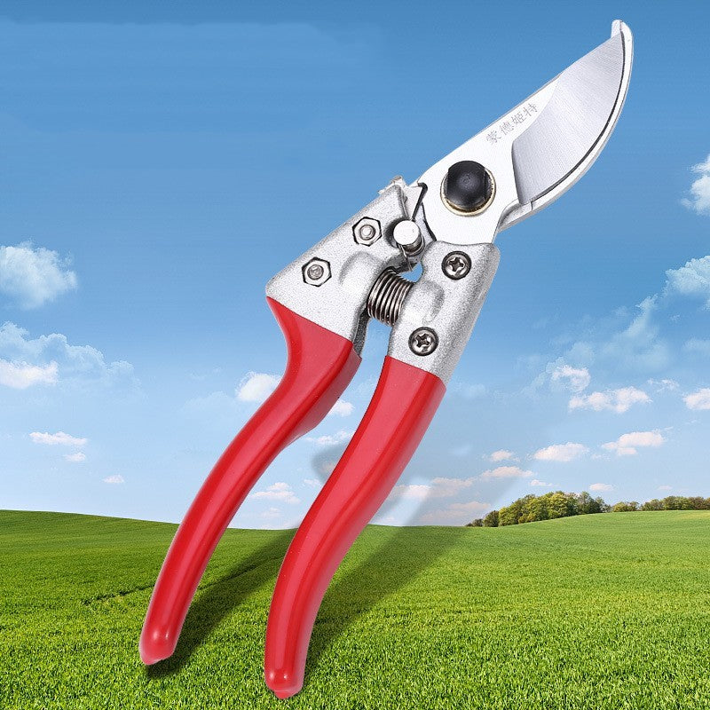 Gardening Scissors Pruning And Fruit Picking